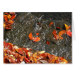 Fall Leaves in Waterfall I Autumn Photography Card