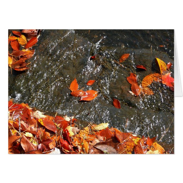 Fall Leaves in Waterfall I Autumn Photography Card (Front Horizontal)
