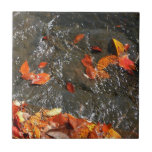 Fall Leaves in Waterfall I Autumn Photography Ceramic Tile