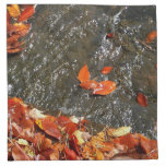 Fall Leaves in Waterfall I Autumn Photography Cloth Napkin