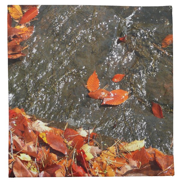 Fall Leaves in Waterfall I Autumn Photography Cloth Napkin (Front)