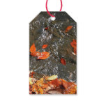 Fall Leaves in Waterfall I Autumn Photography Gift Tags