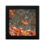 Fall Leaves in Waterfall I Autumn Photography Keepsake Box
