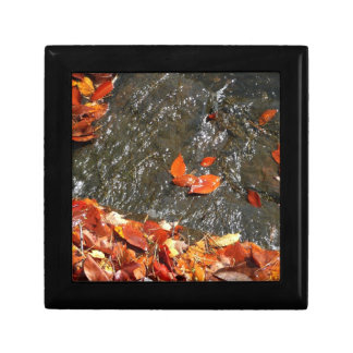 Fall Leaves in Waterfall I Autumn Photography Keepsake Box