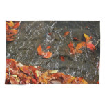 Fall Leaves in Waterfall I Autumn Photography Kitchen Towel