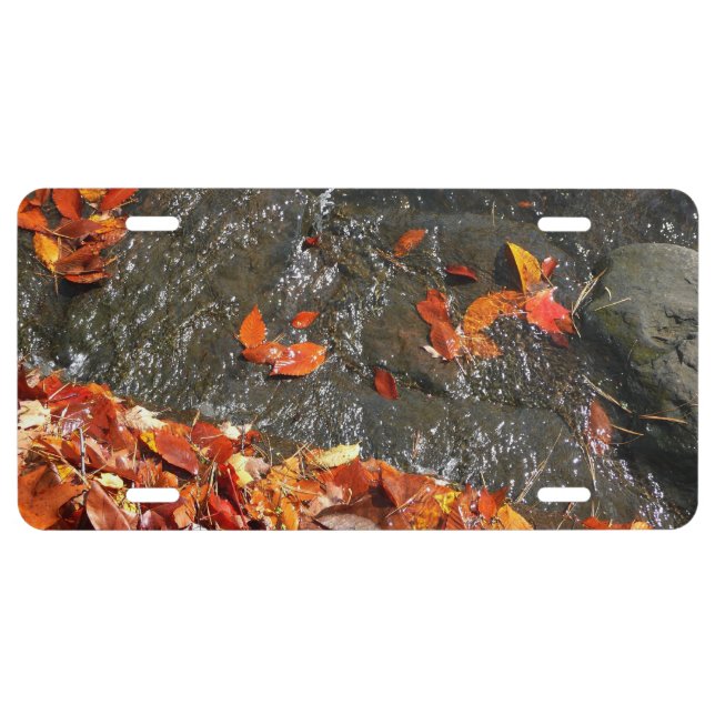 Fall Leaves in Waterfall I Autumn Photography License Plate (Front)