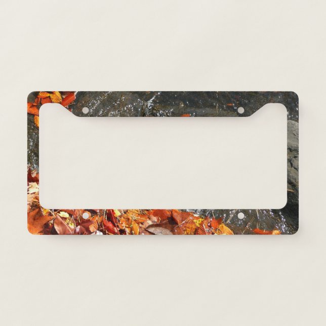 Fall Leaves in Waterfall I Autumn Photography License Plate Frame (Front)