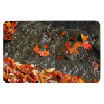 Fall Leaves in Waterfall I Autumn Photography Magnet