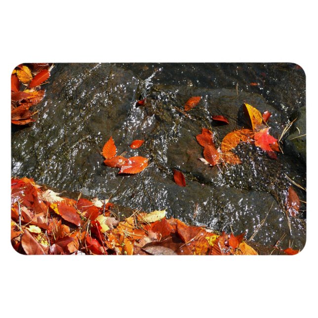 Fall Leaves in Waterfall I Autumn Photography Magnet (Horizontal)
