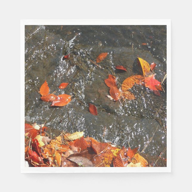 Fall Leaves in Waterfall I Autumn Photography Napkins (Front)