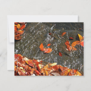 Fall Leaves in Waterfall I Autumn Photography Note Card