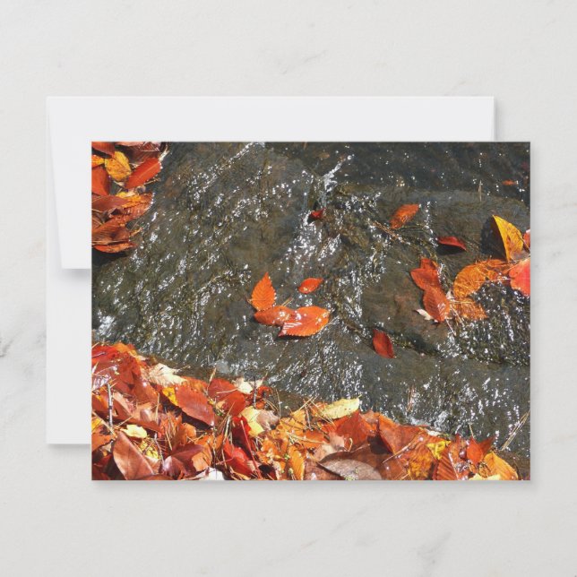Fall Leaves in Waterfall I Autumn Photography Note Card (Front)