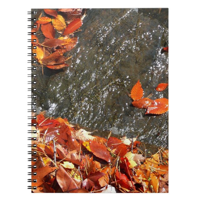 Fall Leaves in Waterfall I Autumn Photography Notebook (Front)