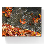 Fall Leaves in Waterfall I Autumn Photography Paperweight