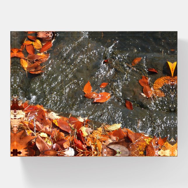 Fall Leaves in Waterfall I Autumn Photography Paperweight (Front)