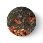 Fall Leaves in Waterfall I Autumn Photography Pinback Button