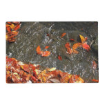 Fall Leaves in Waterfall I Autumn Photography Placemat