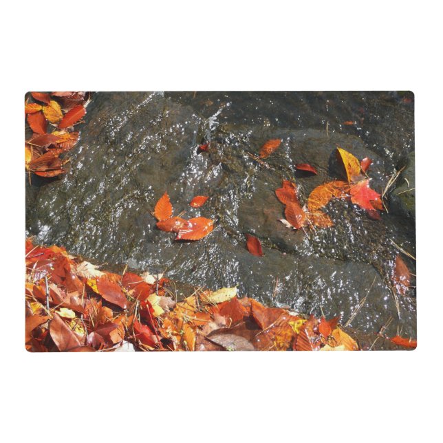 Fall Leaves in Waterfall I Autumn Photography Placemat (Front)