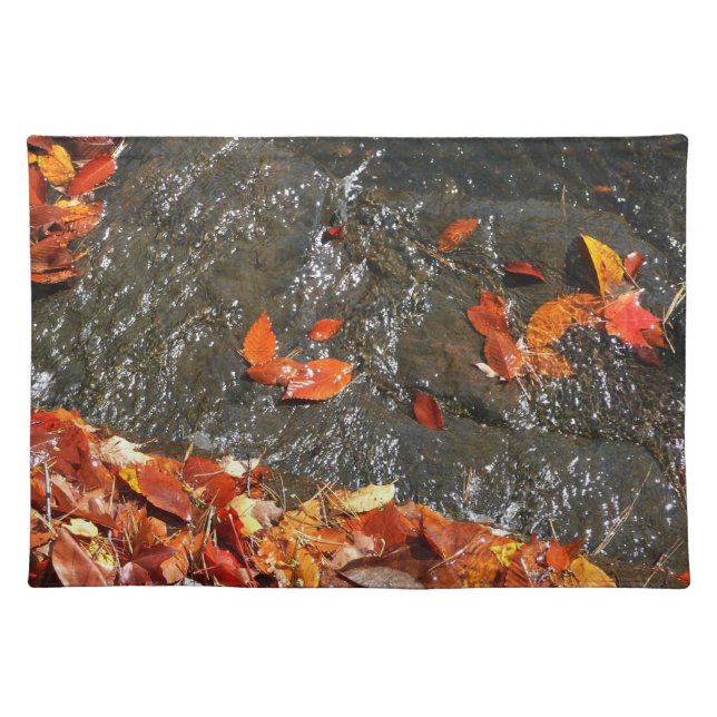 Fall Leaves in Waterfall I Autumn Photography Placemat (Front)