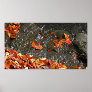 Fall Leaves in Waterfall I Autumn Photography Poster