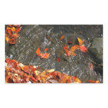 Fall Leaves in Waterfall I Autumn Photography Rectangular Sticker