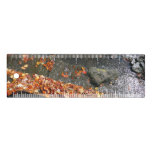 Fall Leaves in Waterfall I Autumn Photography Ruler