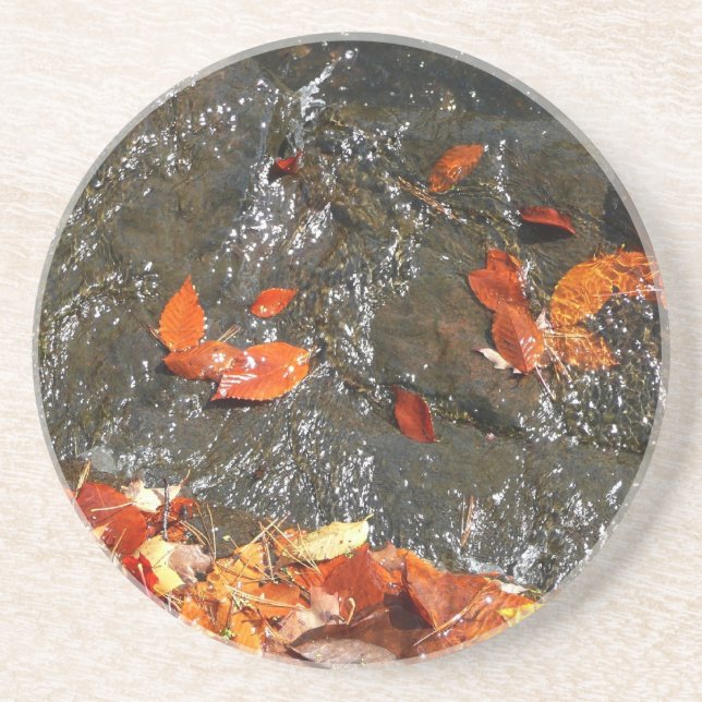 Fall Leaves in Waterfall I Autumn Photography Sandstone Coaster (Front)