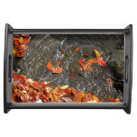 Fall Leaves in Waterfall I Autumn Photography Serving Tray