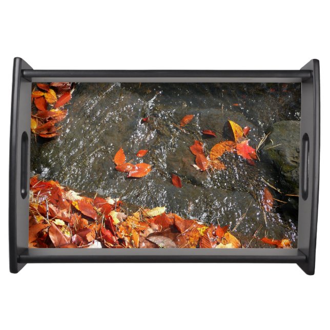 Fall Leaves in Waterfall I Autumn Photography Serving Tray (Front)