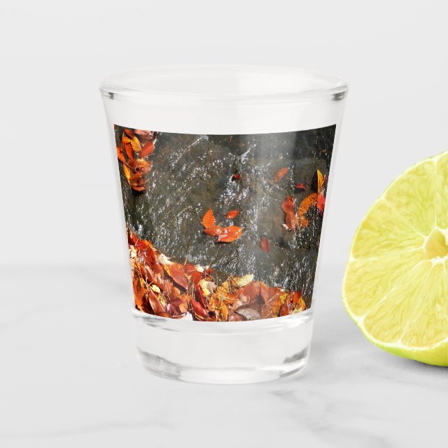 Fall Leaves in Waterfall I Autumn Photography Shot Glass (Front)