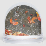 Fall Leaves in Waterfall I Autumn Photography Snow Globe