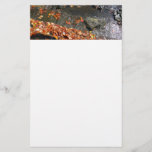Fall Leaves in Waterfall I Autumn Photography Stationery