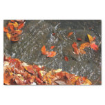 Fall Leaves in Waterfall I Autumn Photography Tissue Paper