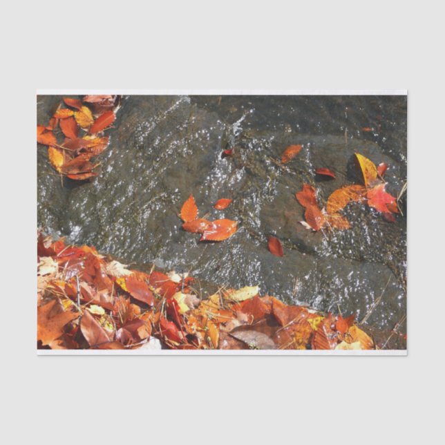 Fall Leaves in Waterfall I Autumn Photography Tissue Paper (Front)