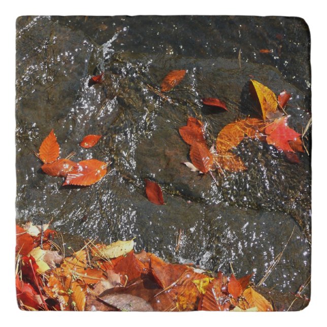 Fall Leaves in Waterfall I Autumn Photography Trivet (Front)
