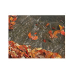 Fall Leaves in Waterfall I Autumn Photography Wood Poster