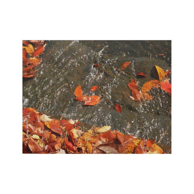 Fall Leaves in Waterfall I Autumn Photography Wood Poster (Front)