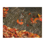 Fall Leaves in Waterfall I Autumn Photography Wood Wall Decor
