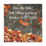Fall Leaves in Waterfall I Save the Date