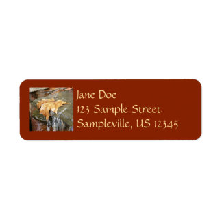 Fall Leaves in Waterfall II Autumn Photography Label