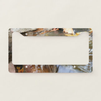 Fall Leaves in Waterfall II Autumn Photography License Plate Frame