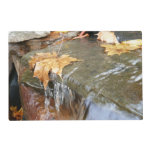 Fall Leaves in Waterfall II Autumn Photography Placemat