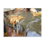 Fall Leaves in Waterfall II Autumn Photography Postcard