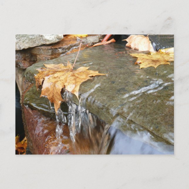 Fall Leaves in Waterfall II Autumn Photography Postcard (Front)