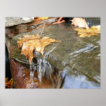 Fall Leaves in Waterfall II Autumn Photography Poster