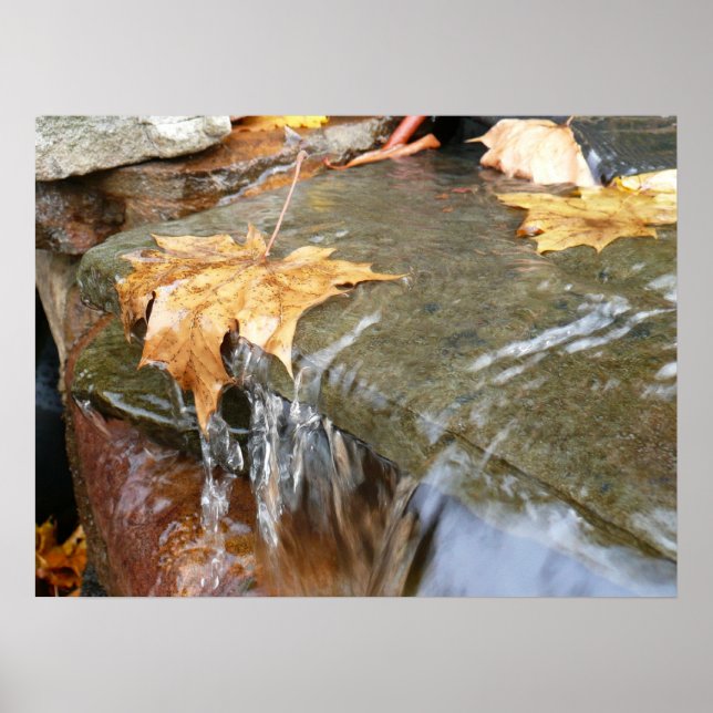 Fall Leaves in Waterfall II Autumn Photography Poster (Front)
