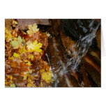 Fall Leaves in Waterfall III Autumn Nature Card