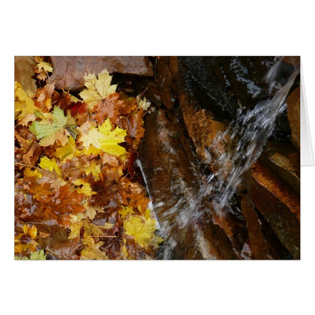 Fall Leaves in Waterfall III Autumn Nature Cards (Front Horizontal)
