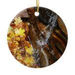 Fall Leaves in Waterfall III Autumn Nature Ceramic Ornament