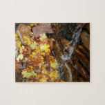 Fall Leaves in Waterfall III Autumn Nature Jigsaw Puzzle